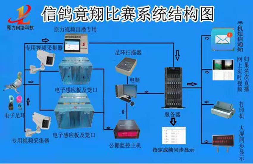 信鸽竞翔比赛系统结构图